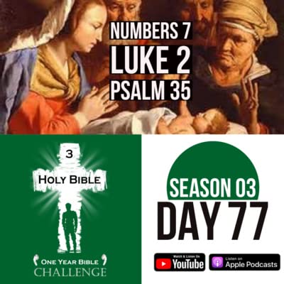Day 77: Tribal leaders bring gifts | Simeon and the prophet, Anna, recognize the baby, Jesus