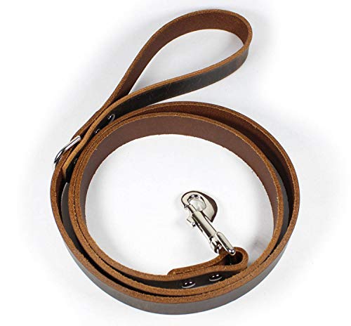 thick leather dog leash