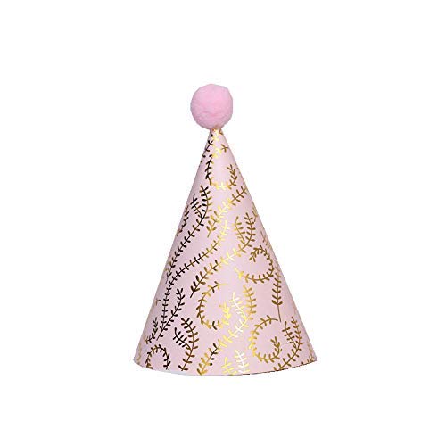 6PCS Happy Birthday Party Hats Cute Hats Kids Hats Unisex Adult Size Fancy Dress Party Hats… (style1)