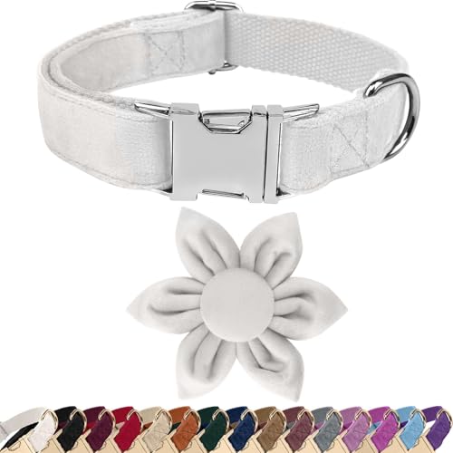 Asvin Hundehalsband Samtige, mit Abnehmbarer Sonnenblumen, Weich und Bequem Hunde Halsband, Mehrfarbig Samtige Hundehalsband, für Hochzeiten, Geburtstage, Partys