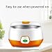 Imagen de Yogurtera eléctrica automática de 15 W