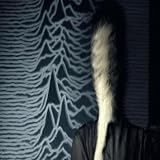  JOY DIVISION [Explicit]
