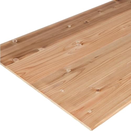 C t[O  ߗL 11×160×1985 10 1