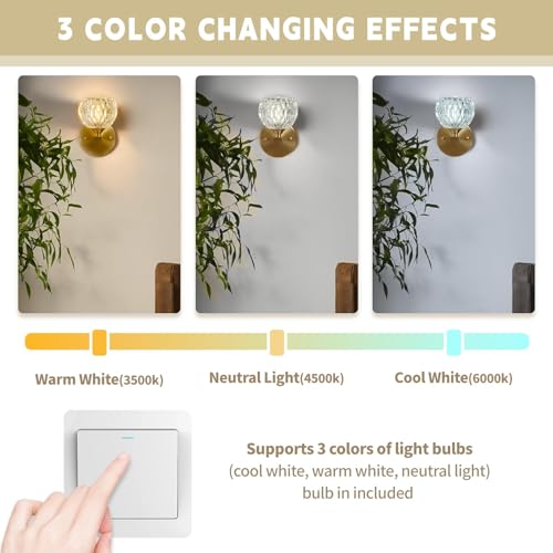 Image of Glass Wall Sconce