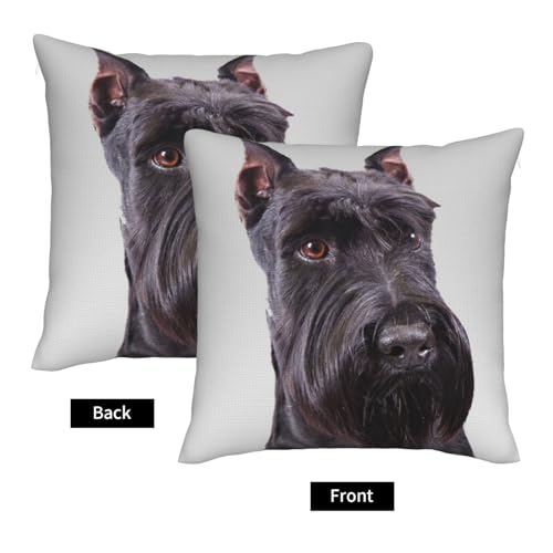 Housses de coussin imitation lin schnauzer x2 : protégez et sublimez vos canapés