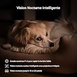 EZVIZ 3K(5MP) 2 Pack Camera Interieur, Caméra Surveillance C6N G1 3K - 8