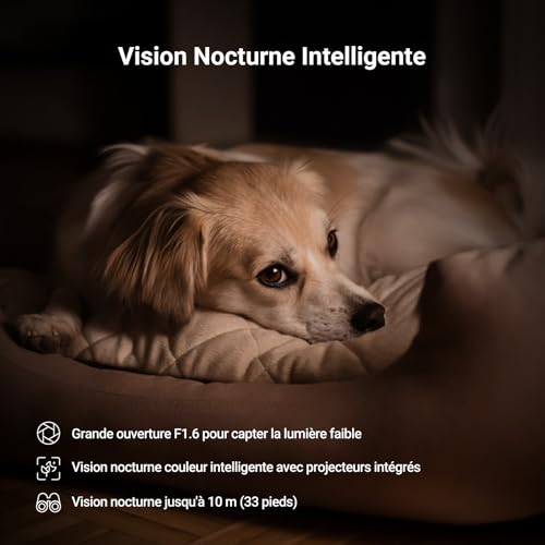 EZVIZ 3K(5MP) 2 Pack Camera Interieur, Caméra Surveillance C6N G1 3K - 8