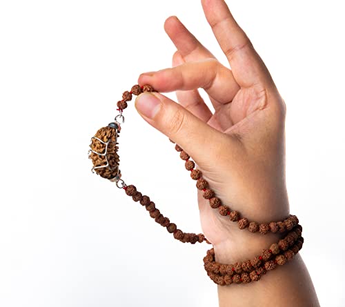 Rudraksha Wonder Care Rudraksh Mala mit Mukhi-Perle – Echte Himalaya-Samen