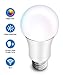 Produktbild Hauppauge mySmarthome Voice Bulb WiFi LED RGB-w Lampe E27