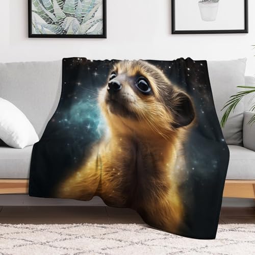Couverture douce SuriChate pour vos soirées cocooning devant la télé - 3