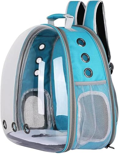 Dlwk ybg^ԃobO1XJCu[̔LLAobO ybgLAg\ȓȃouobNpbNybg|[^usobO