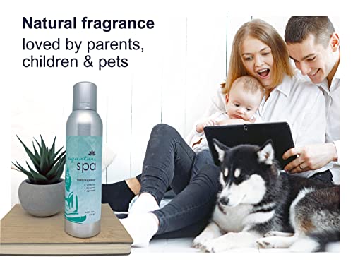 Room Fragrance Air Freshener Spray Concentrated Bathroom, Kitchen, Car, or Office Deodorizer, U.S.- Made by AP Fragrance (Spa)
