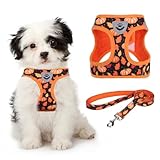 KOOLTAIL Fall Dog Harness and Leash Set for Small Medium Dogs, Thanksgiving Step in No Pull Comfort Padded Pet Vest, Adjustable Reflective Easy Walking Puppy Cats Harness Training, Leaf & Pumpkin M