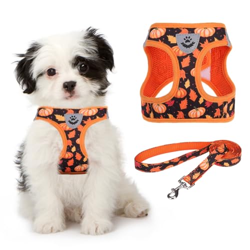 KOOLTAIL Fall Dog Harness and Leash Set for Small Medium Dogs, Thanksgiving Step in No Pull Comfort Padded Pet Vest, Adjustable Reflective Easy Walking Puppy Cats Harness Training, Leaf & Pumpkin M