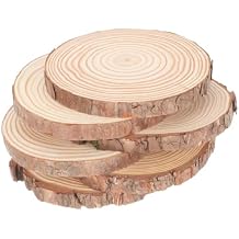 6pcs Natural Wood Slices for Crafts Unfinished Discs Thick for Painting DIY Projects Home Decor and Creative Ornaments
