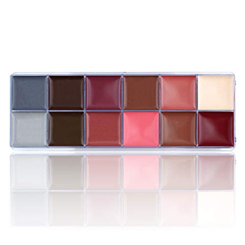 Wismee 12-Color Professional Stage Makeup Palette with Special Effect Pigment Oils for Body and Face Painting Art