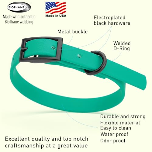 Image of Dogline Biothane Waterproof Dog Collar Strong Coated Nylon Webbing with Black Hardware Odor- Proof for Easy Care Easy to Clean High Performance Fits Small Medium or Large Dogs, Teal