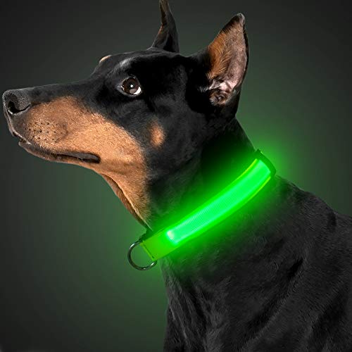 BSEEN LED Dog Collar - Soft Nylon Safety Night Light Up Dog Collar, Great for Small Medium Large Dogs (Large, Neon Green)