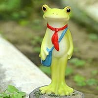 Amazon.co.jp: MJKQ9 蓮の葉の上のお祈りかえるかえる カエル FreeSize