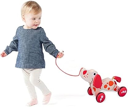 Amazon Promise Babe プルトイ 引っ張るおもちゃ 可愛い犬 木製 オーガニック 知育玩具 色認識 指先訓練 歩行練習 バランス感 赤ちゃん 子供 1歳 2歳 3歳 出産祝い 誕生日プレゼント 手押し車 プルトイ おもちゃ