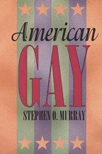 American Gay (Worlds of Desire: The Chicago Series on Sexuality, Gender, and Culture)