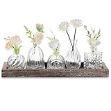 Photo Gallery glasseam vaso di vetro per il soggiorno: 5 vasi di gemme trasparenti con vassoio di legno per la casa, l ufficio, il matrimonio, il centrotavola, un elegante set di piccoli vasi da regalo