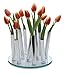 Produktbild Philippi - Bouquet Vase - Designervase für ihre Kreativität - Jede Blüte hat Seine eigene Minivase - Ensemble selbst gestalten mit Rosen, Tulpen oder Lilien