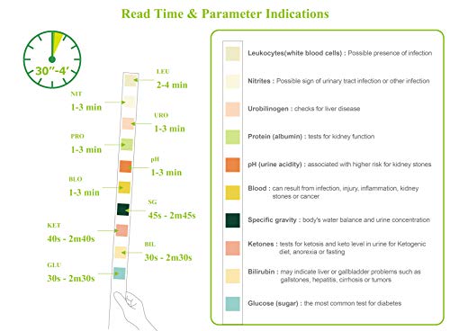 Areta-10-Parameter-10SG-Urinalysis-Reagent-Test-Strips50-StripsBottle