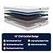 Avenco Queen Mattresses, 10 Inch Queen Size Mattress with Gel Memory Foam for Cool Night & Pressure Relief, Bed Mattress in a Box Medium Soft Plush Feel Colchones with Motion Isolating