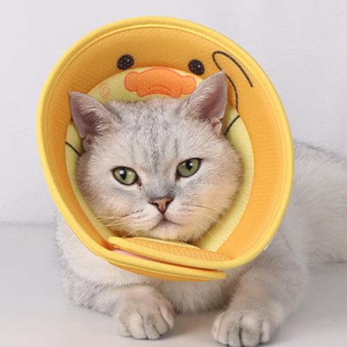 Cone de gato,Cone macio de pescoço de gato com padrão animal bonito | Donut de pescoço de cachorro p