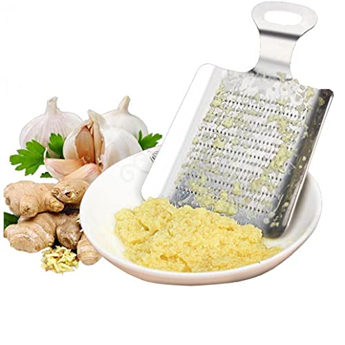 Froiny 1pc Ginger Garlic Wasabi Grater Crusher Garlic Press Device Chopper Cutter Garlics Peeler Kitchen Tools Stainless Steel