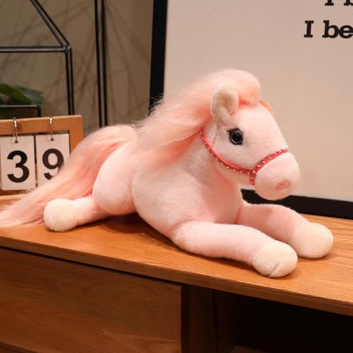  NbV E} { ܂ Aj} n D   ʂ  傫  50cm _炩 n ObY YQ @\ sN 􂦂