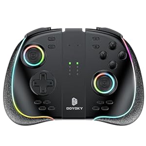 DOYOKY Epoch Game Controller with Hall Effect Joystick, Wireless Switch Controller/for Switch OLED with Comfortable Rubber Grip, 180°Dynamic Flow LED Switch Replacement Controller, 6-Axis/Vibration