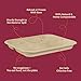 Chuk 4 Compartment Bagasse Divided Plates, 12 x 9.5 Inch Heavy Duty Compostable Lunch Trays (25 Pack), Disposable Sectional Plates for School Lunch, Cafeteria, Catering & Buffet