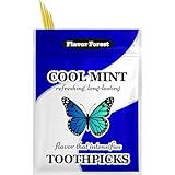 Mint Flavored Toothpicks 200ct