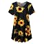 A-sunflower27