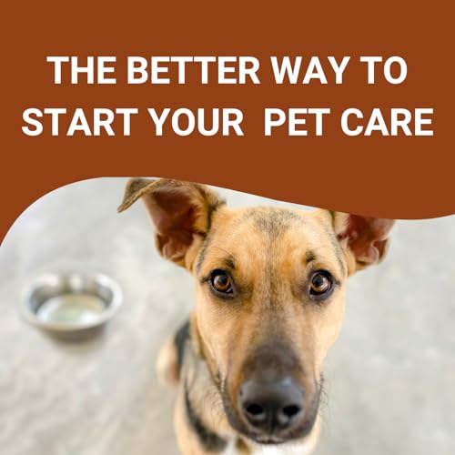 Image of Pets Empire Pet Feeder for Dogs & Cats | Dog Bowl Stand for Large Dogs | Stainless Steel Food and Water Bowls with Iron Stand | Dog Bowls Large Size (900ml X 2 Bowl)