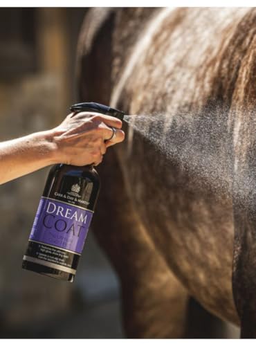 Carr & Day & Martin Dreamcoat Shine, 500 ml