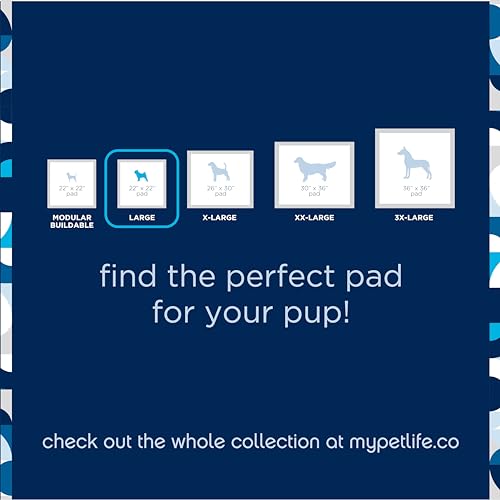 Pet Life Unlimited Smart Prints Large Puppy Pads, Pee Pads for Dogs, Dog Training Pads - Leak-Proof, Slide-Proof, Bleach & Dye Free Dog Pee Pads - Made in The USA - 24\" x 22\" - 50 Count (L)