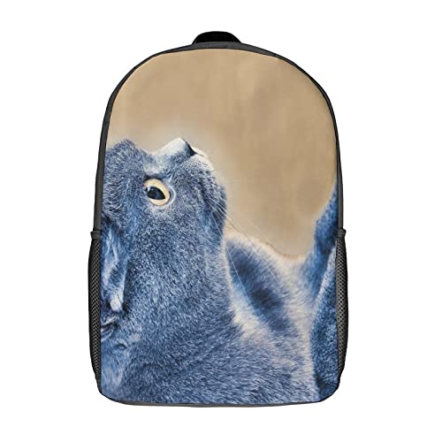 Sac à dos scolaire chat fini le mal de dos avec ce grand cartable 17 pouces 3D
