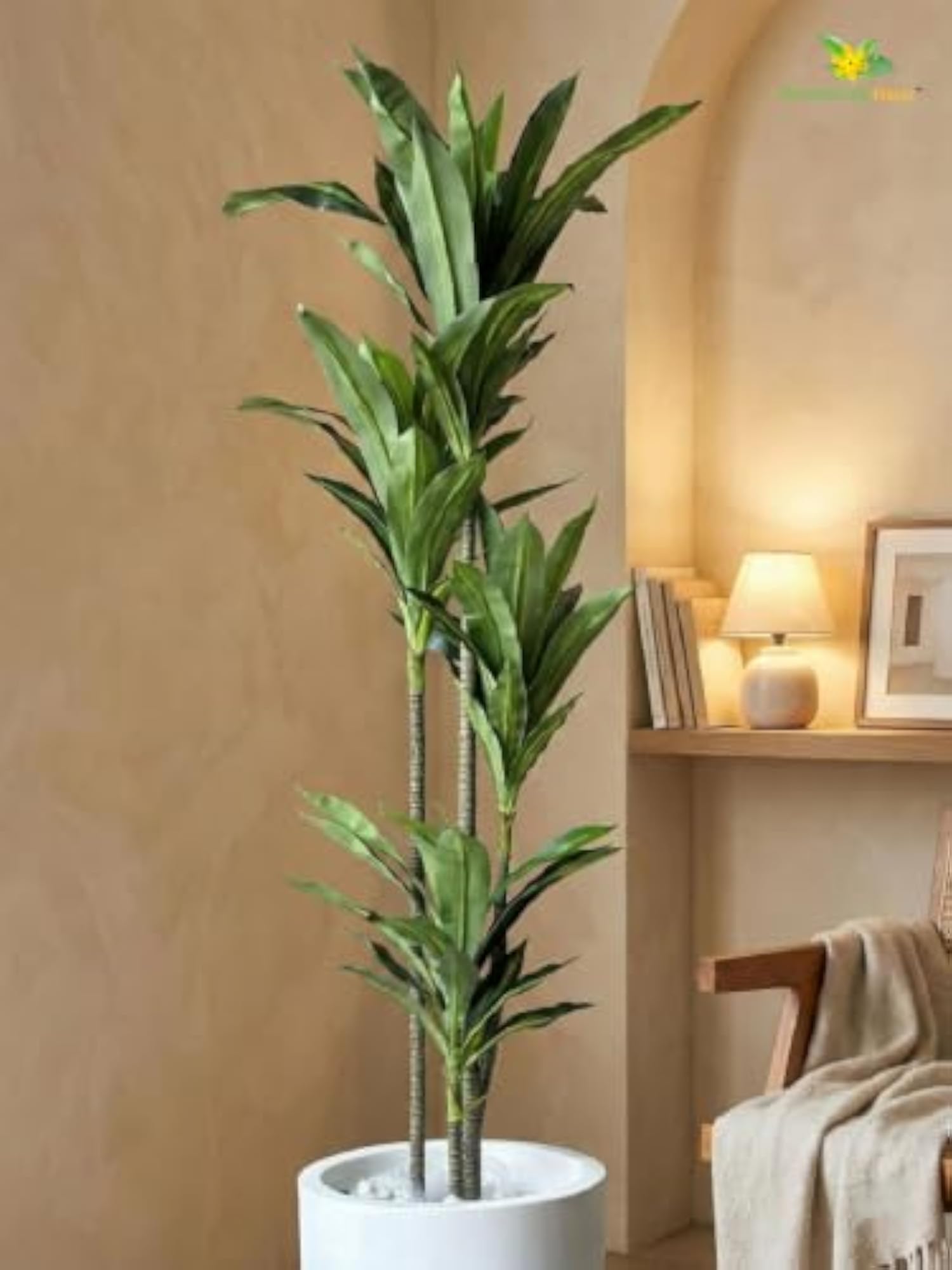 Premium Artificial Dracaena Plant with Basic Pot