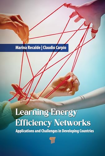 Learning Energy Efficiency Networks: Applications and Challenges in Developing Countries