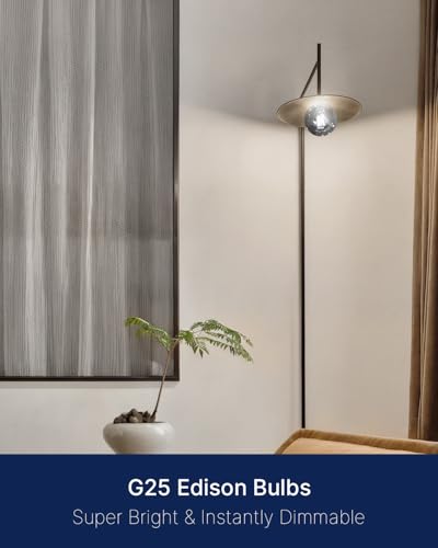 Image of FLSNT 6 Pack G25 LED Globe Edison Bulbs, 5000K Daylight Decorative Light Bulbs, CRI90+ Dimmable, 40W Equivalent, 300LM, E26 Base, Smoky Grey Glass, UL Listed