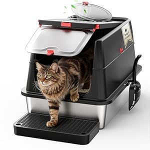 Edelstahl Katzenklo XXL aus V2A – 62 cm Geschlossene Katzentoilette mit 160° Klappdeckel, 3-in-1 Design für Stehpinkler & große Katzen, hoher Rand auslaufsicher, inkl. Schaufel und Trittstufe