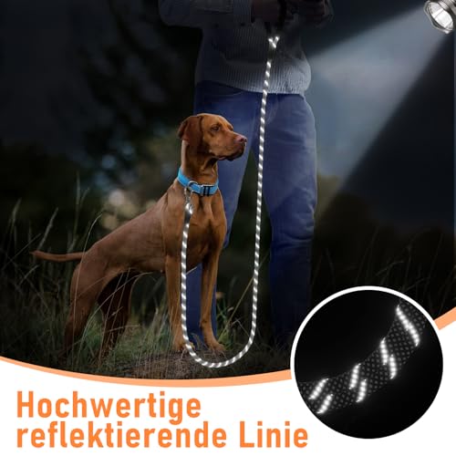 X XBEN Schleppleine für Hunde, 3M 5M 10M 15M 20M 25M 30M Lang Robuste Hundeleine mit Abschließbarer Karabiner, Laufleine Trainingsleine für Kleine Mittlere Große Hunde, Weiche Handschlaufe