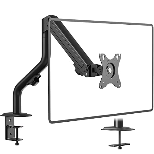 The 16 best rotating monitors