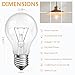 Hoimuv 100 Watt Incandescent Light Bulbs, A19 Clear Incandescent Rough Service Light Bulb,A19 100 WATT Incandescent Bulb Shatter Resistant Rough Service Light Bulb 100 WATTS A19 Shape (4)