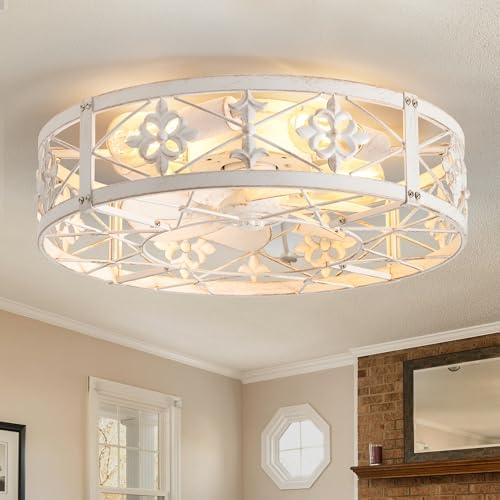 ZYD Caged Ceiling Fans with Light, 20" Ceiling Fans with Lights a...