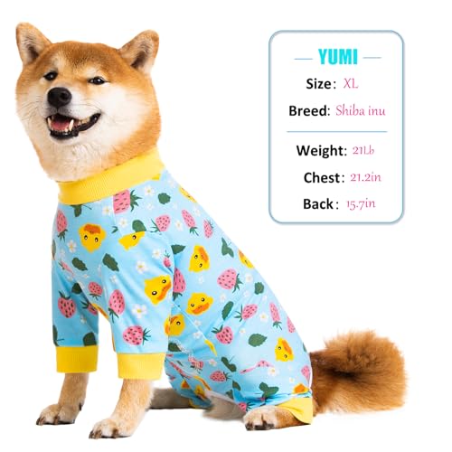 Image of Dog Recovery Suit for Small Medium Large Dogs, Pet Onesie After Surgery Comfort Dog Bodysuit Anti Licking (Blue,XL)