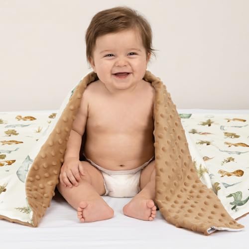 Image of PHF Minky Baby Blanket for Boys Girls, 30x40 Inches Soft Double Layer Baby Blankets with Cute Dinosaurs, Receiving Blanket Bed Throws for Newborn, Infant, Babies